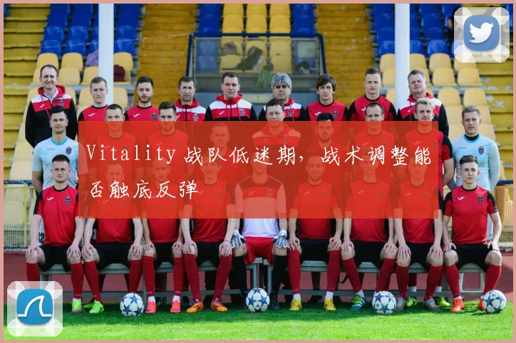 Vitality 战队低迷期，战术调整能否触底反弹