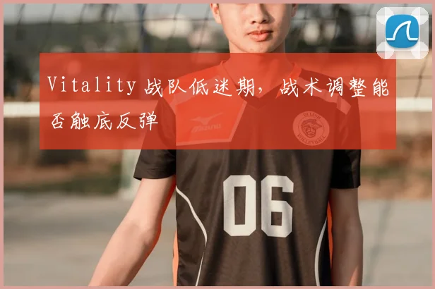 Vitality 战队低迷期，战术调整能否触底反弹